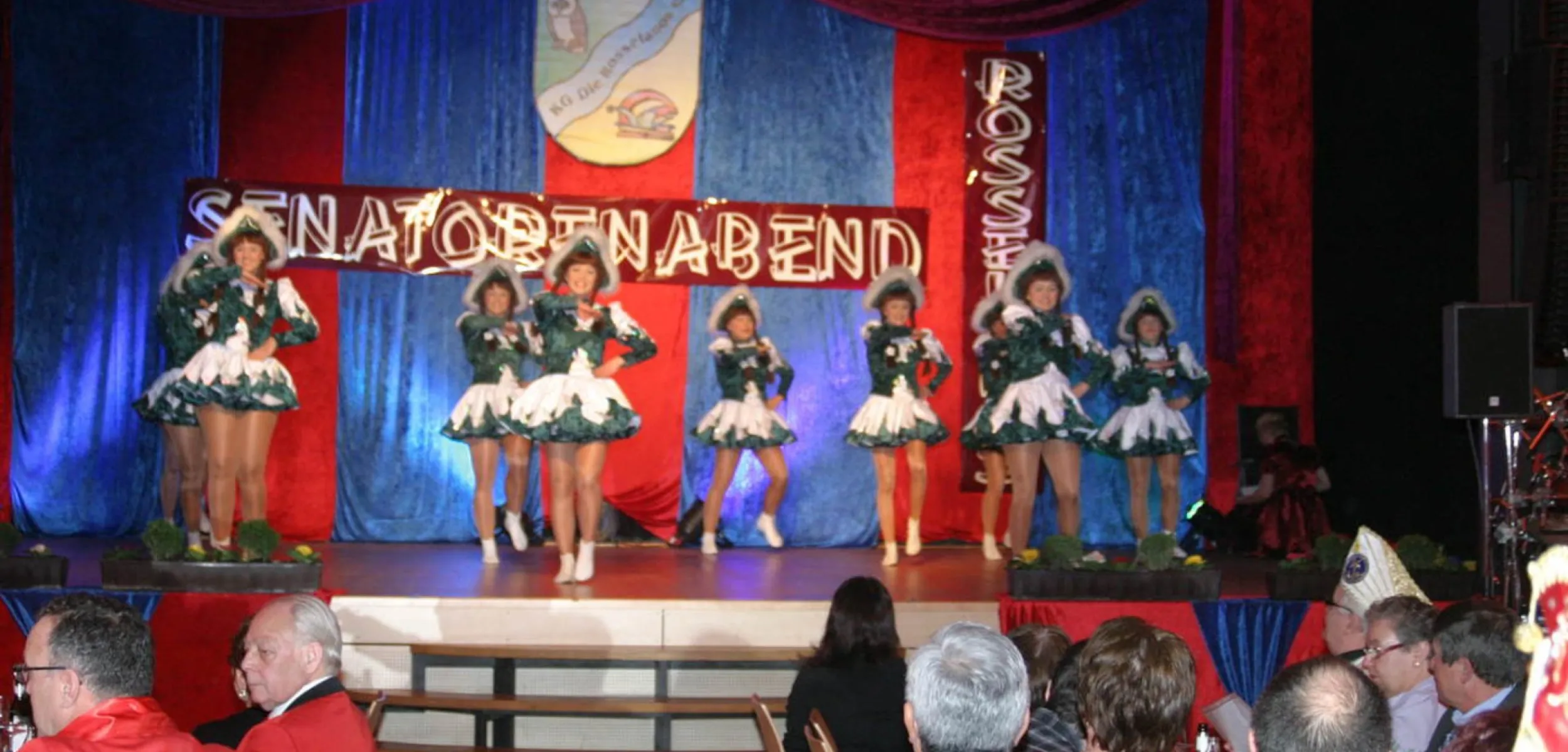 Senatorenabend 2014