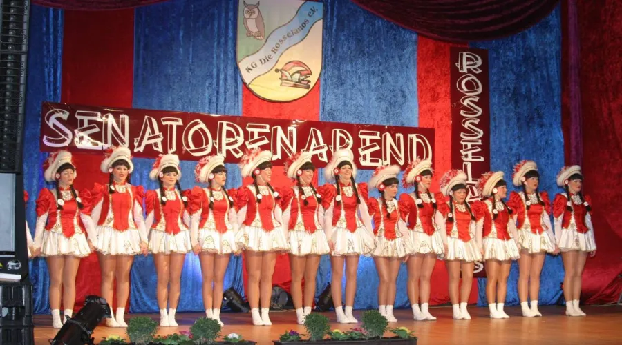 Headerimage - Senatorenabend 2013